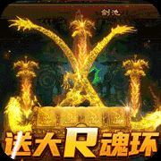 龙之守护内购破解版