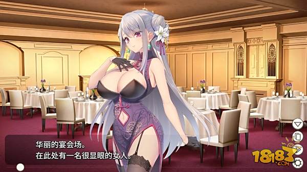 卧底女特工电脑版下载