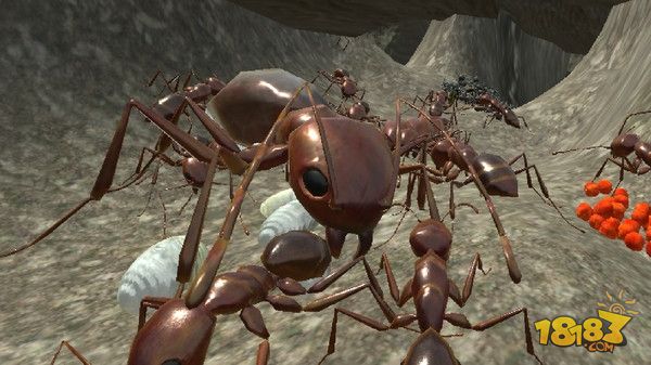 蚁族崛起电脑版下载