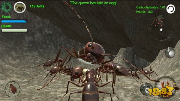 蚁族崛起电脑版下载