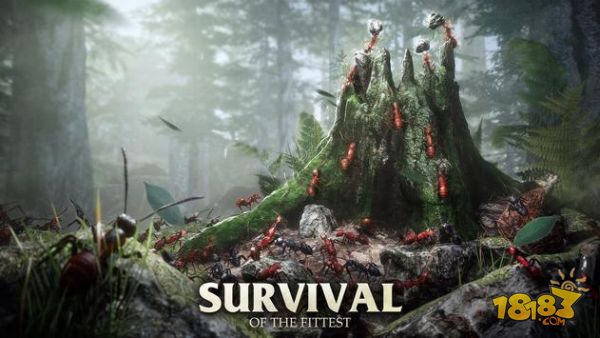 蚂蚁军团电脑版下载