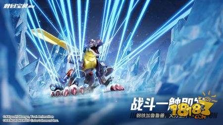 数码宝贝源码电脑版下载