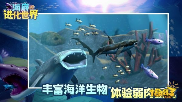 海底进化世界电脑版下载