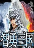 智勇三国