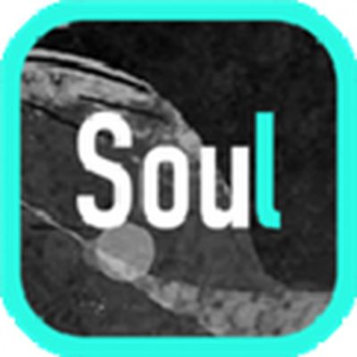 Soul软件