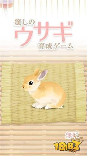 治愈系兔子养成电脑版下载