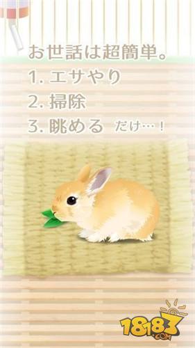 治愈系兔子养成电脑版下载