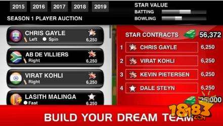 板球超级联赛电脑版下载