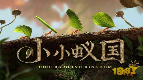 小小蚁国电脑版下载