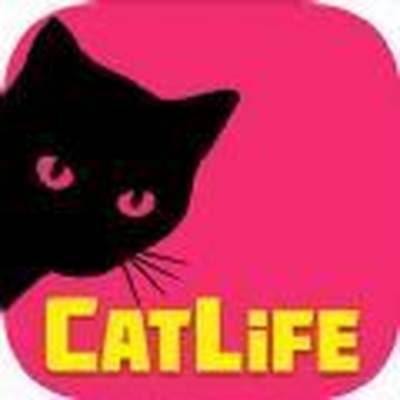 模拟猫的一生最新版下载