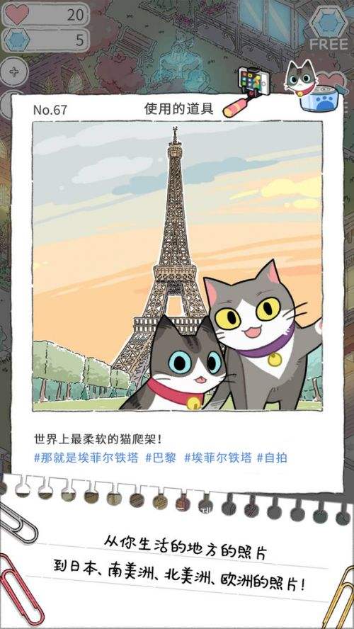 猫友圈猫咪的旅行最新版