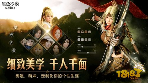 黑色沙漠手游台服电脑版下载