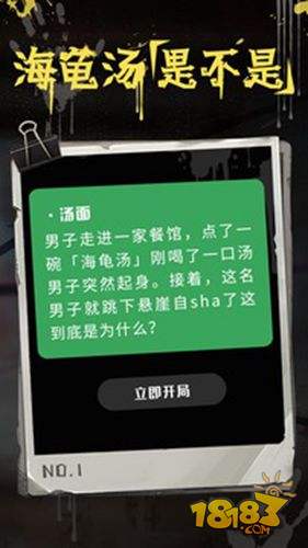 海龟汤电脑版下载