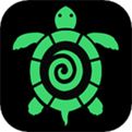 海龟汤电脑版下载