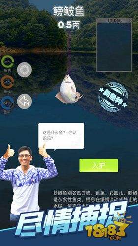 天天钓鱼电脑版下载