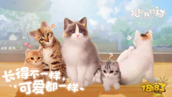 我和我的猫电脑版下载