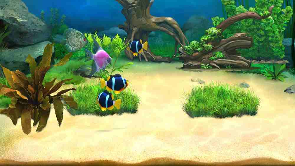 欢乐水族馆电脑版下载