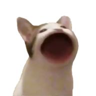 pop猫电脑版下载