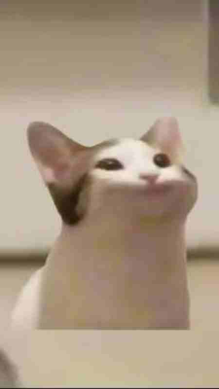 pop猫电脑版下载