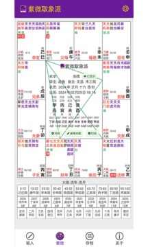 紫微取象派官方下载