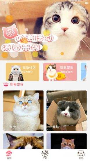 猫咪官方社区免费进入