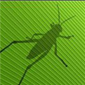 Grasshopper最新汉化版免费下载