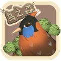 鸟之森安卓中文版下载