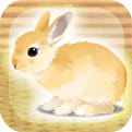 治愈系兔子养成最新下载