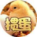 天天爱掼蛋官方正版下载