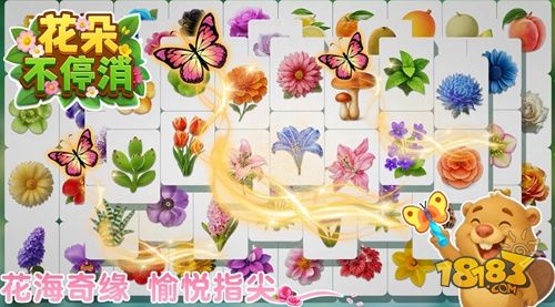 花朵不停消宣传图
