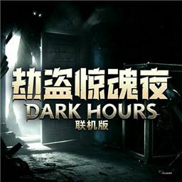 劫盗惊魂夜